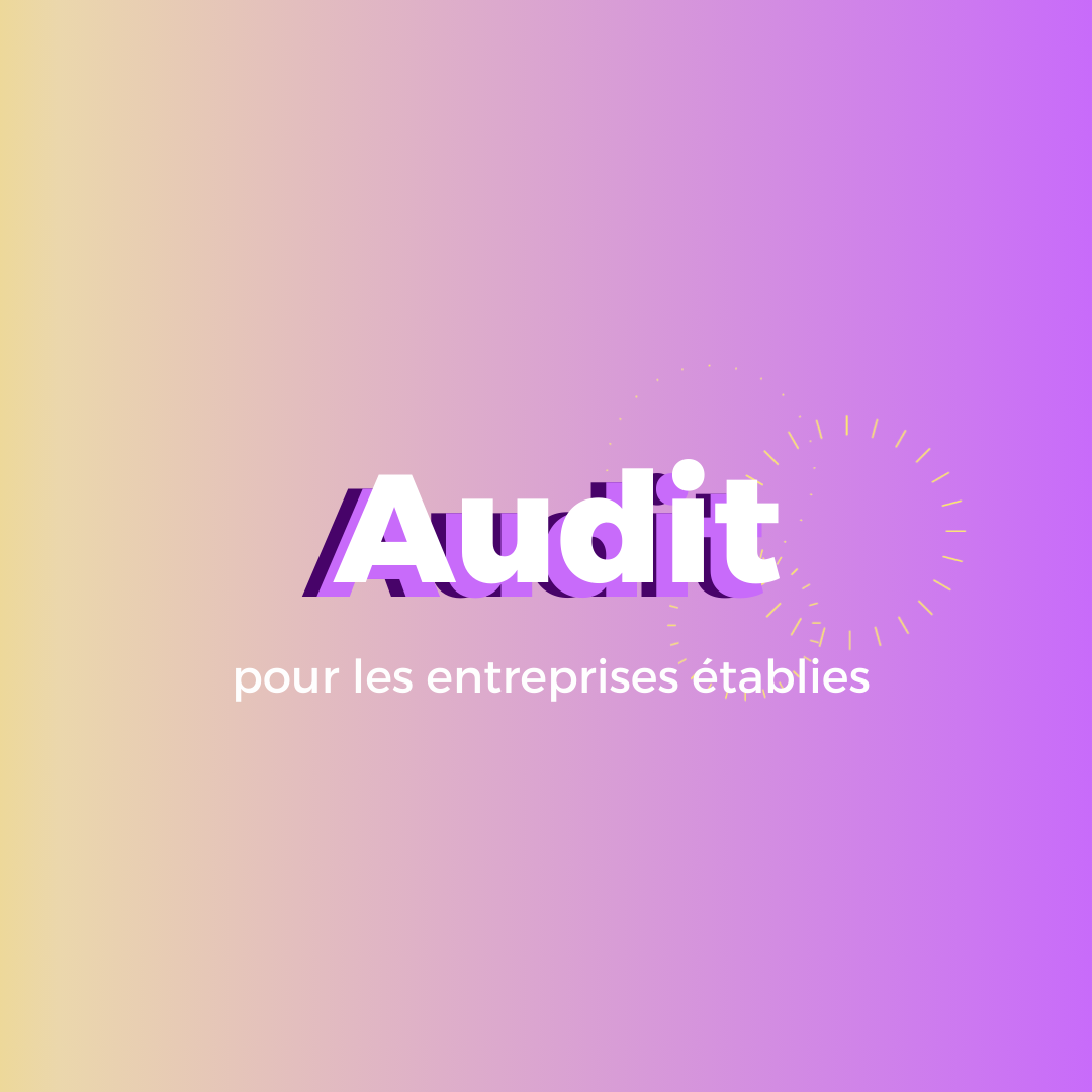 Pack Audit pour les entreprises établies